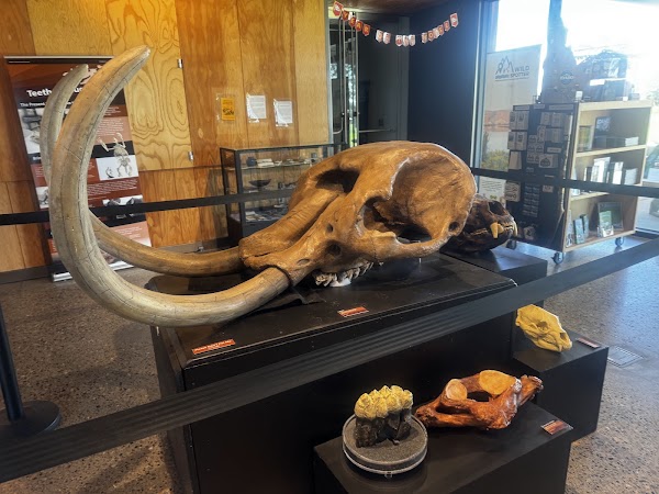 Visitor Center: Thousand Springs State Park & Hagerman Fossil Beds National Monument