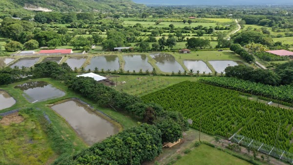 Laberinto de Cipreses 1