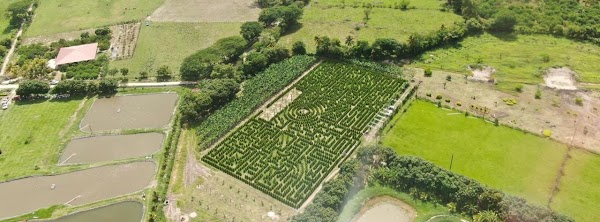 Laberinto de Cipreses 2