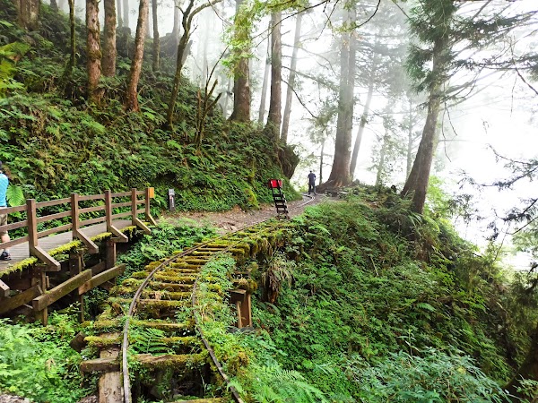 Taipingshan National Forest Recreation Area 1