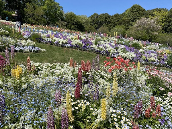 Satoyama Garden