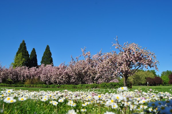 Blue Lake Regional Park