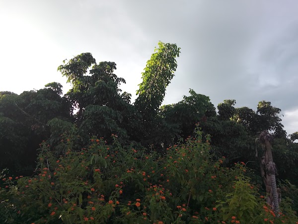 Chiang Dao 5