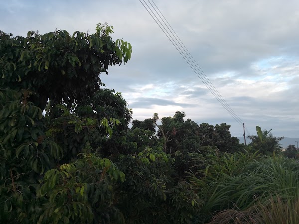 Chiang Dao 2