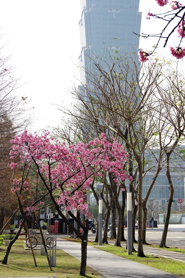 松智公園