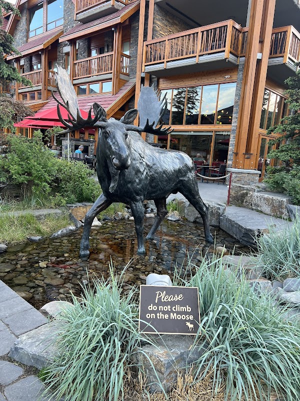 Banff 5