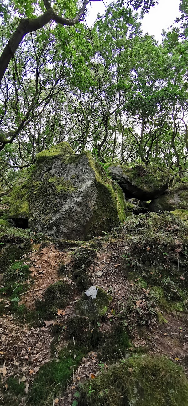 Bamford Edge 4