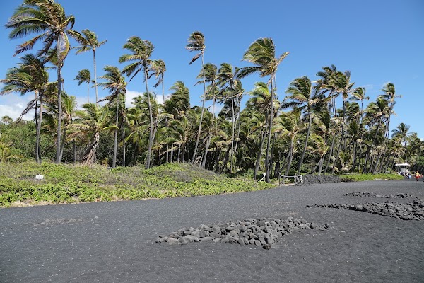 Punalu'u Black Sand Beach 6