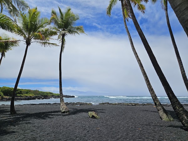 Punalu'u Black Sand Beach 5