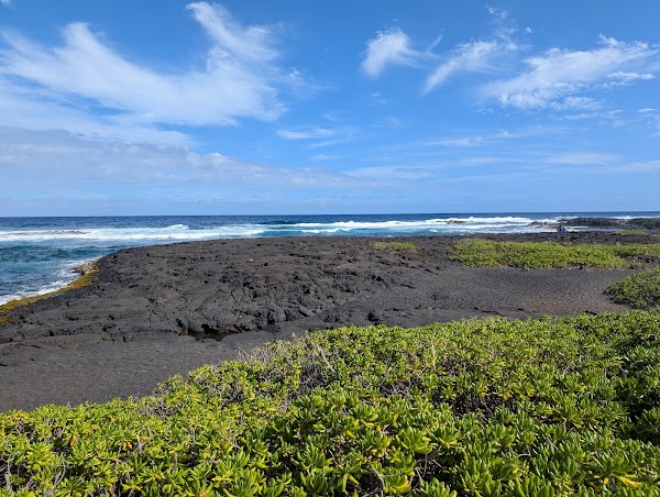 Punalu'u Black Sand Beach 3