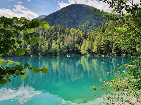 Laghi di Fusine 5