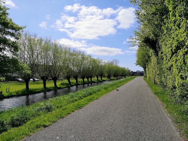 Delft 5