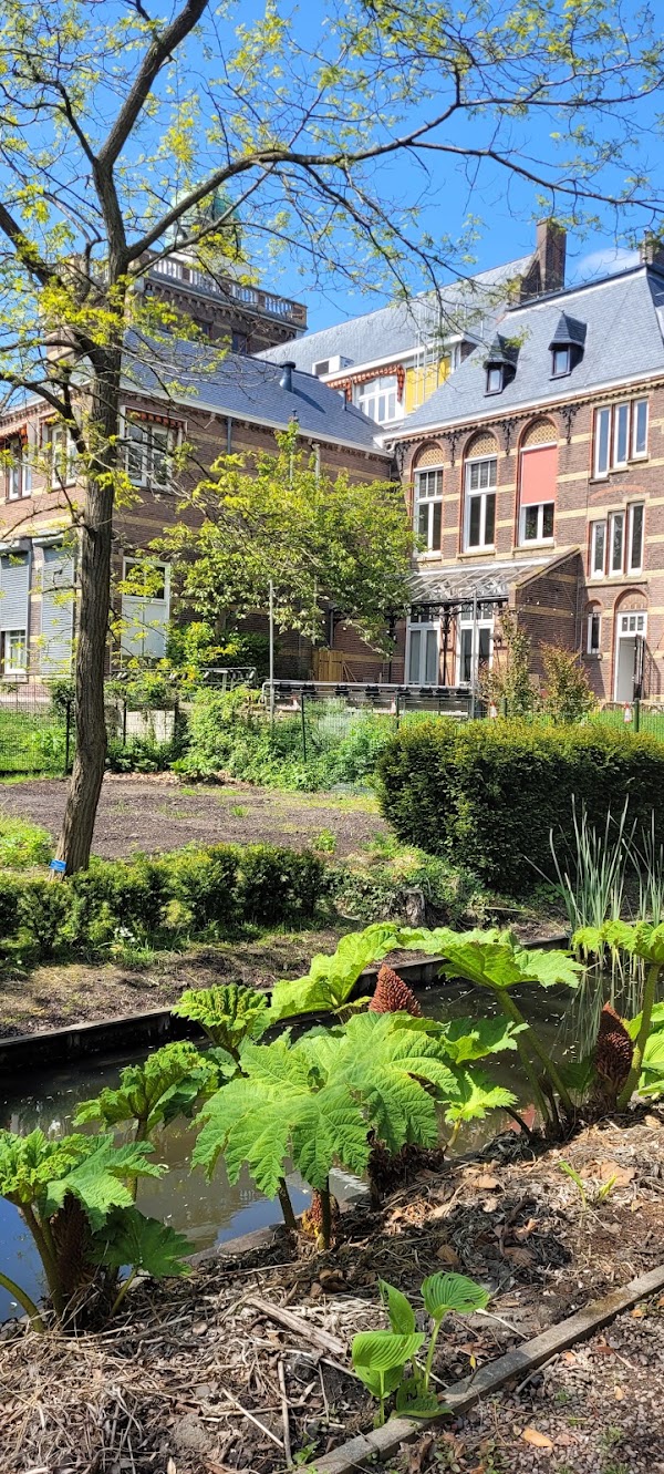 Delft 4