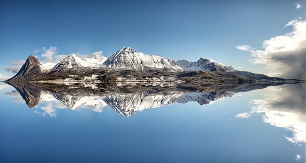 Arctic 5