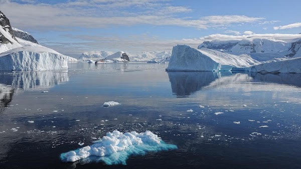 Arctic 4