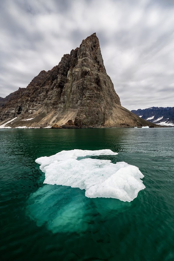 Arctic 3