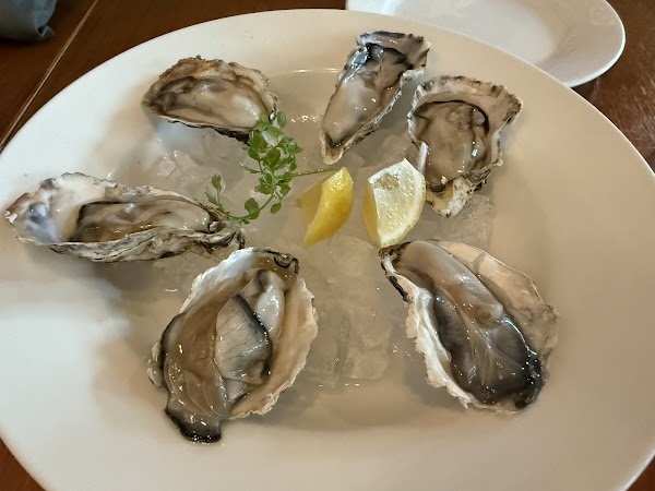 Lazy Lizard Flora Vista 3