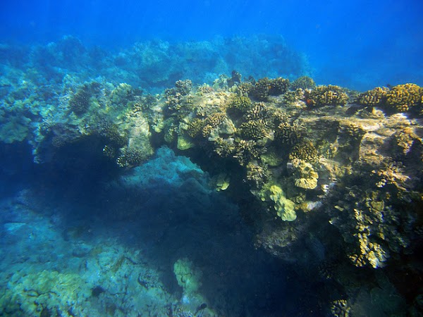 Molokini 2
