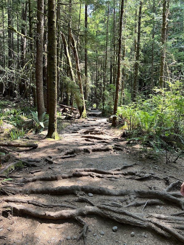 Juan De Fuca Provincial Park 5