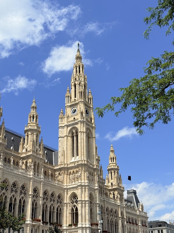 Rathaus der Stadt Wien 5
