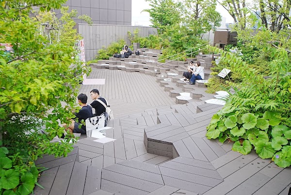 Omohara Forest