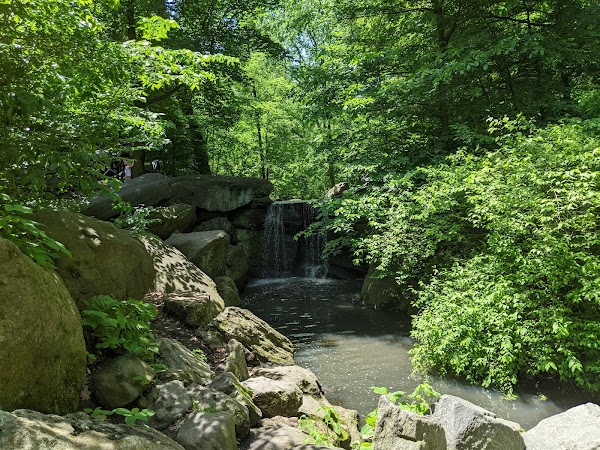 North Woods