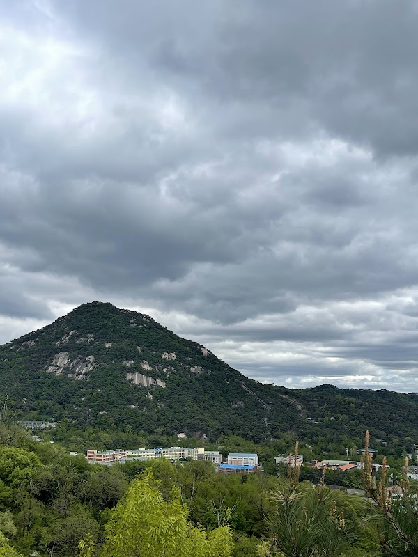무무대 전망대 5