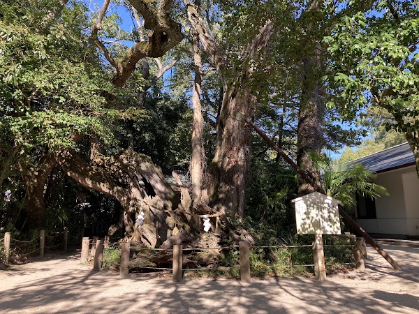 Ōyamazumi Shrine 2