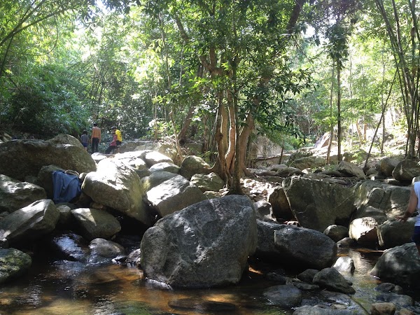 Suan Phueng