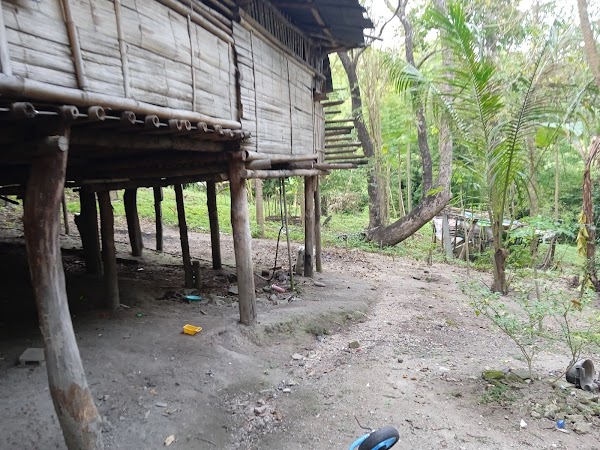 Suan Phueng 3