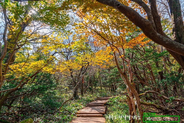 Eoseungsaengak Trail 3