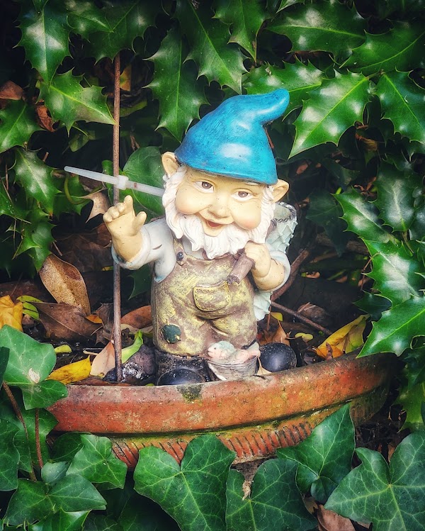 Valley of the Gnomes 5