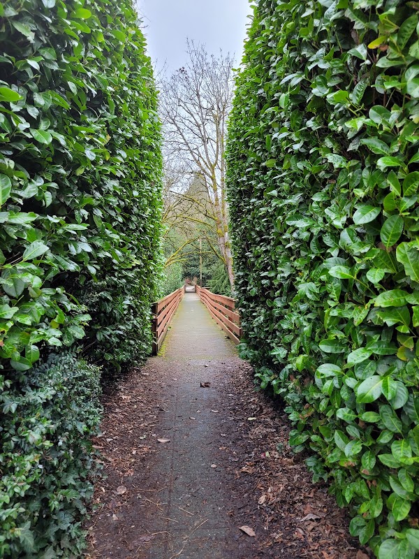 Valley of the Gnomes 3