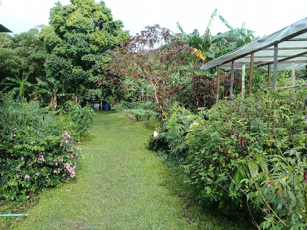 El Tablazo Finca Agroecológica