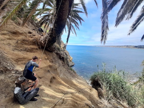 Coast Walk Trail
