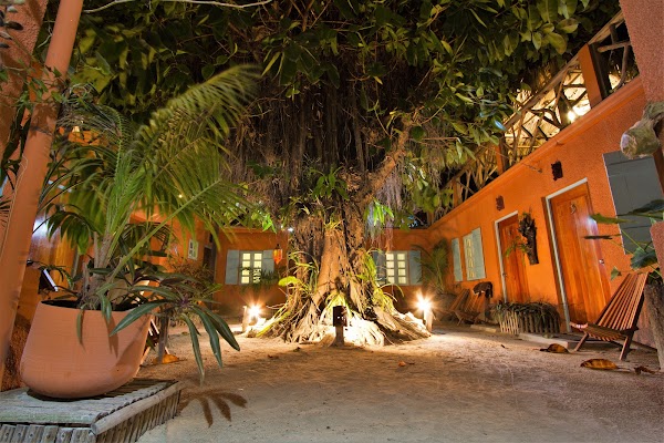 Strand 4