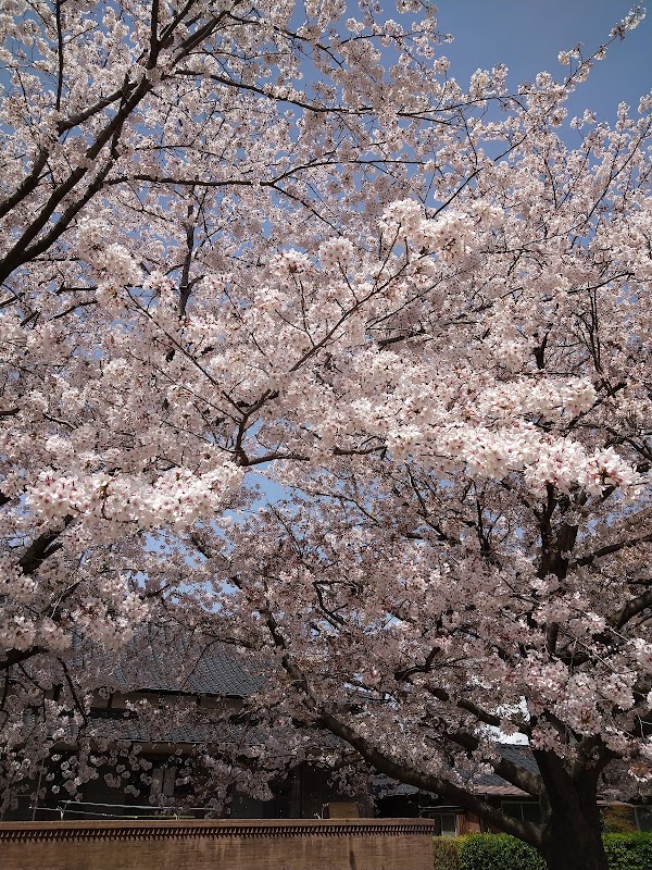 Yamaguchi
