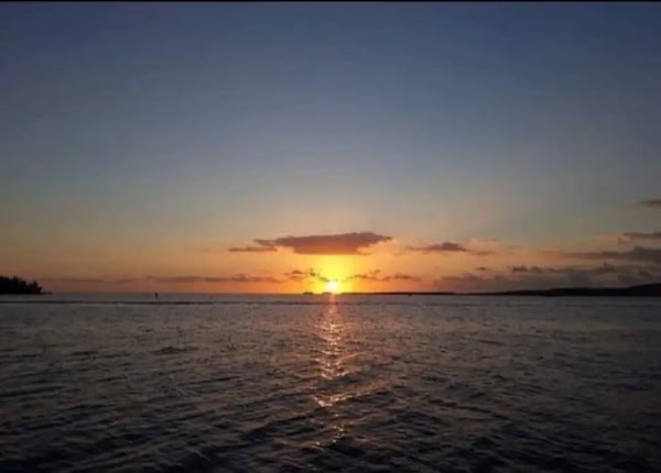Parguera Eco Tours and Bio Bay