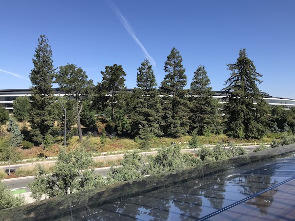 Apple Park 1