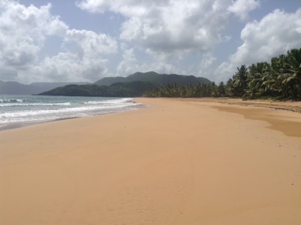 Playa de las Canas