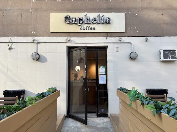 Caphelia Coffee