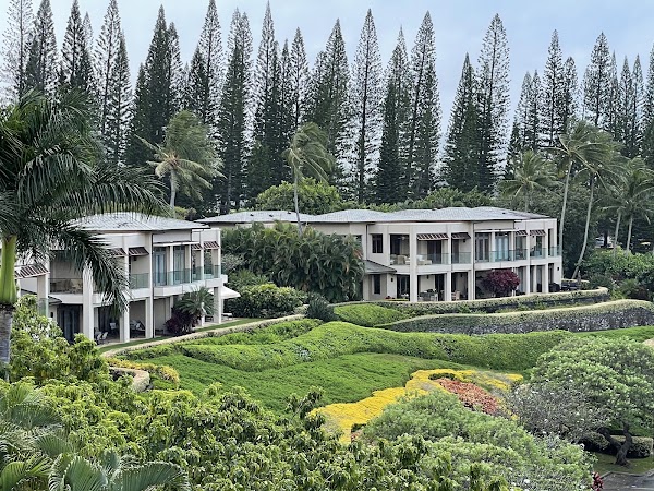 Kapalua Bay Drive 1
