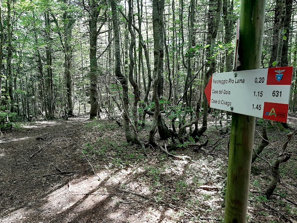 Parco Nazionale dell'Appennino Tosco-Emiliano 5