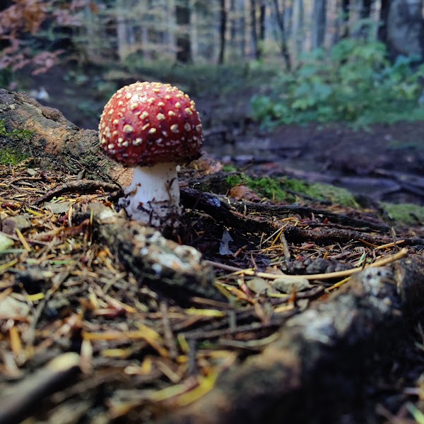 Parco Nazionale dell'Appennino Tosco-Emiliano 2