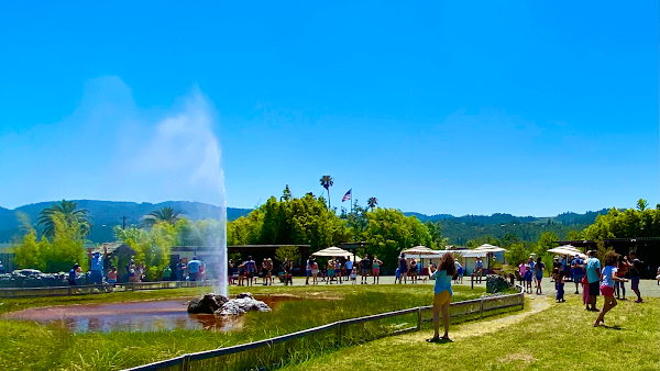 Old Faithful Geyser of California 2