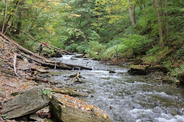 Hamilton falls