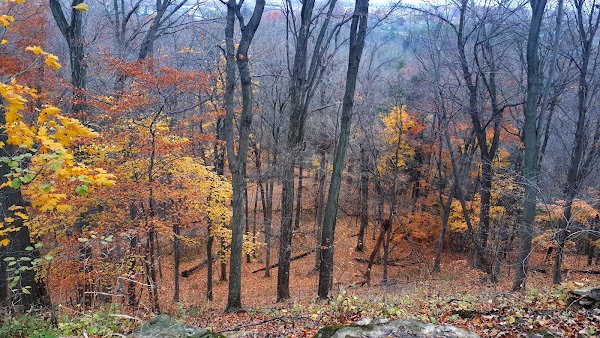 DeCew Falls 2