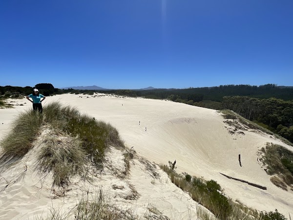 Henty Dunes 1