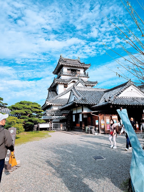 Kochi Castle 1