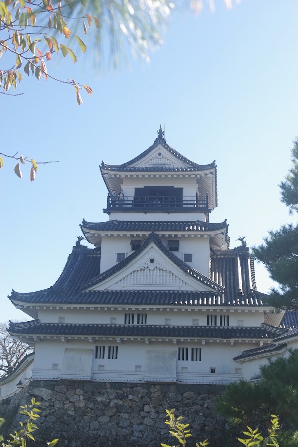 Kochi Castle 5